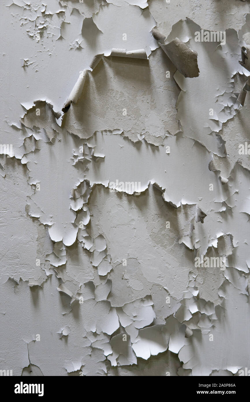 White Cracked Paint On The Wall Old Painted Wall Grungy Cracked White