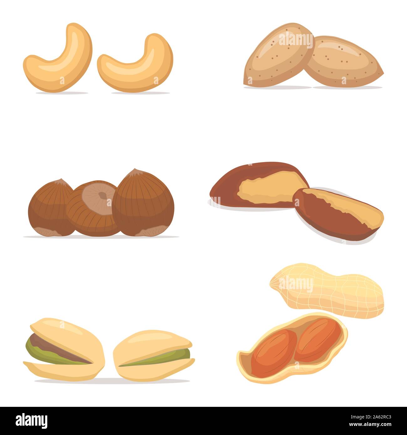 Vector Illustration Logo For Cashew Hazelnut Brazil Nut Pistachio