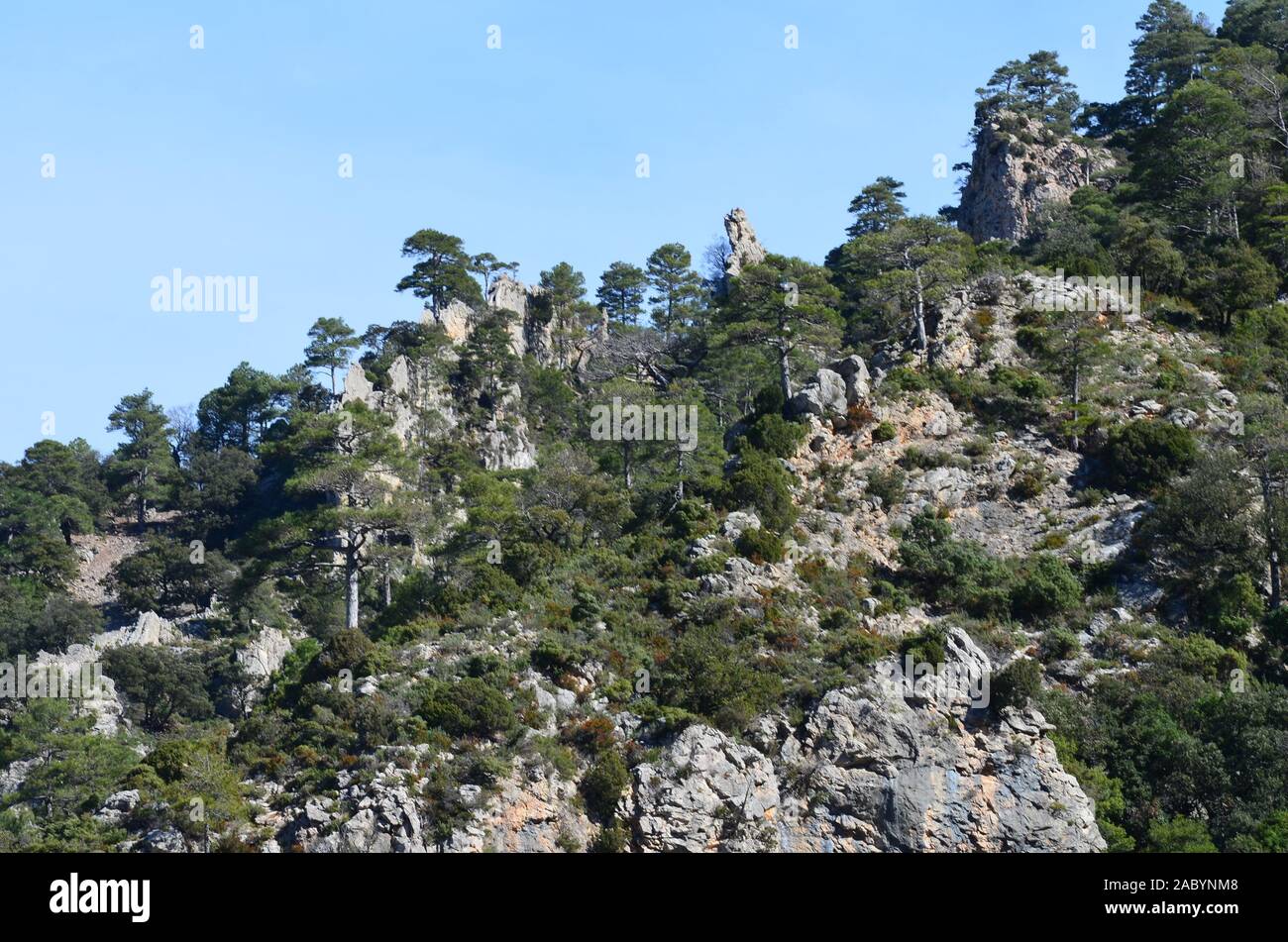 Geomorphic Formations In Els Ports Natural Park A Limestone Mountain