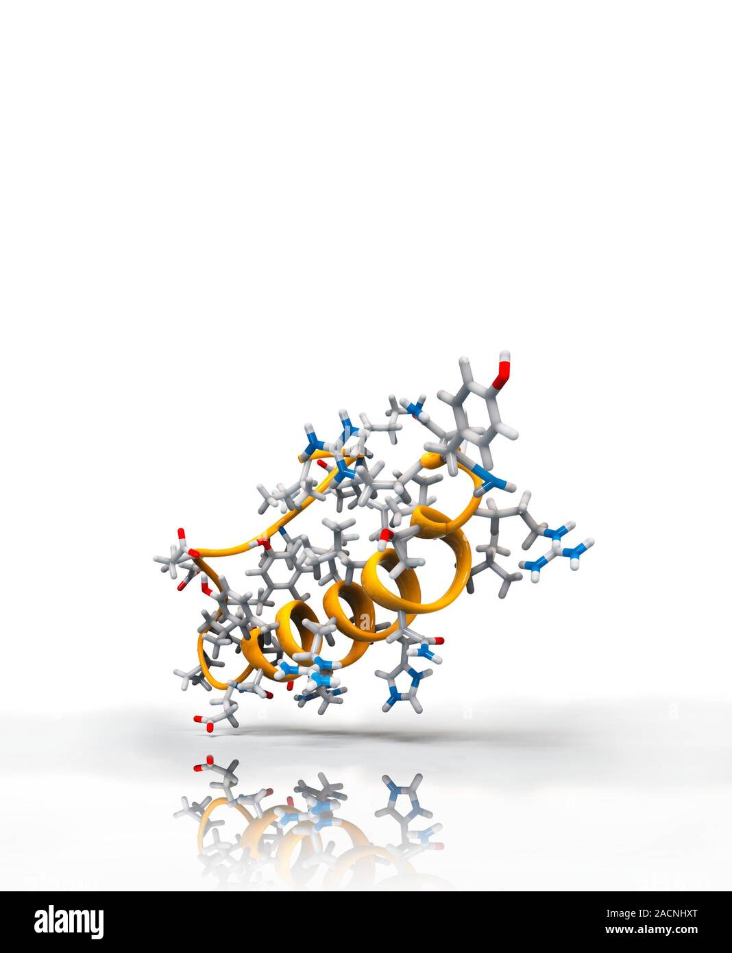 Peptide YY Obesity Hormone Molecule Computer Model Showing The Crystal