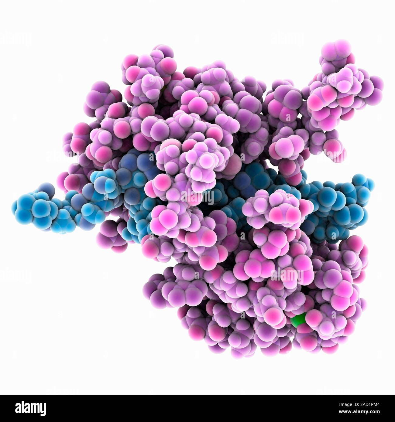 Calcium Binding Protein Molecule Model Of The Calcium Binding Protein