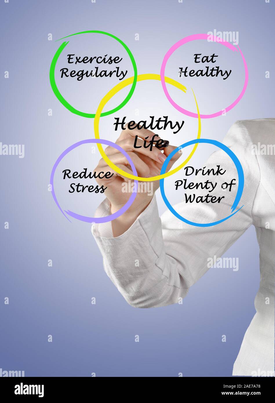 Diagram Of Healthy Life Stock Photo Alamy