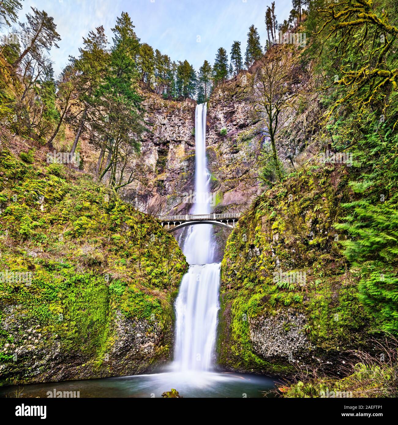 Multnomah Falls In The Columbia River Gorge USA Stock Photo Alamy