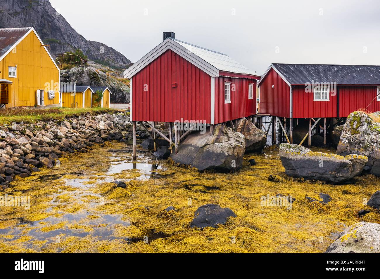 Traditional Red Wooden Houses Rorbuer In The Small Fishing Village Of