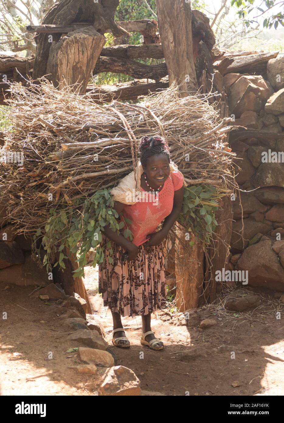 A Happy Konso Tribe Woman Carrying Sticks On Her Back In The Konso