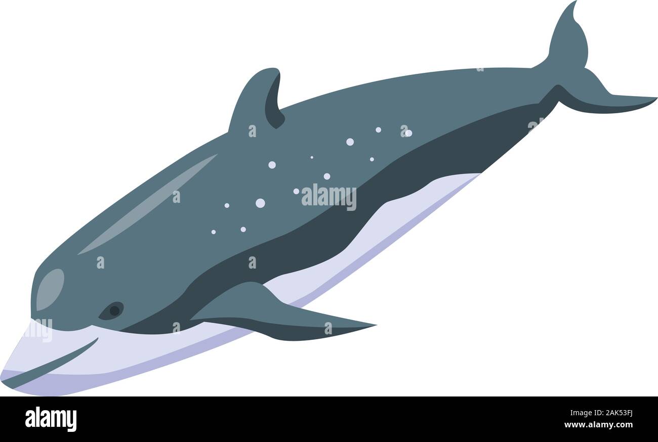 Fish Whale Icon Isometric Style Stock Vector Image Art Alamy