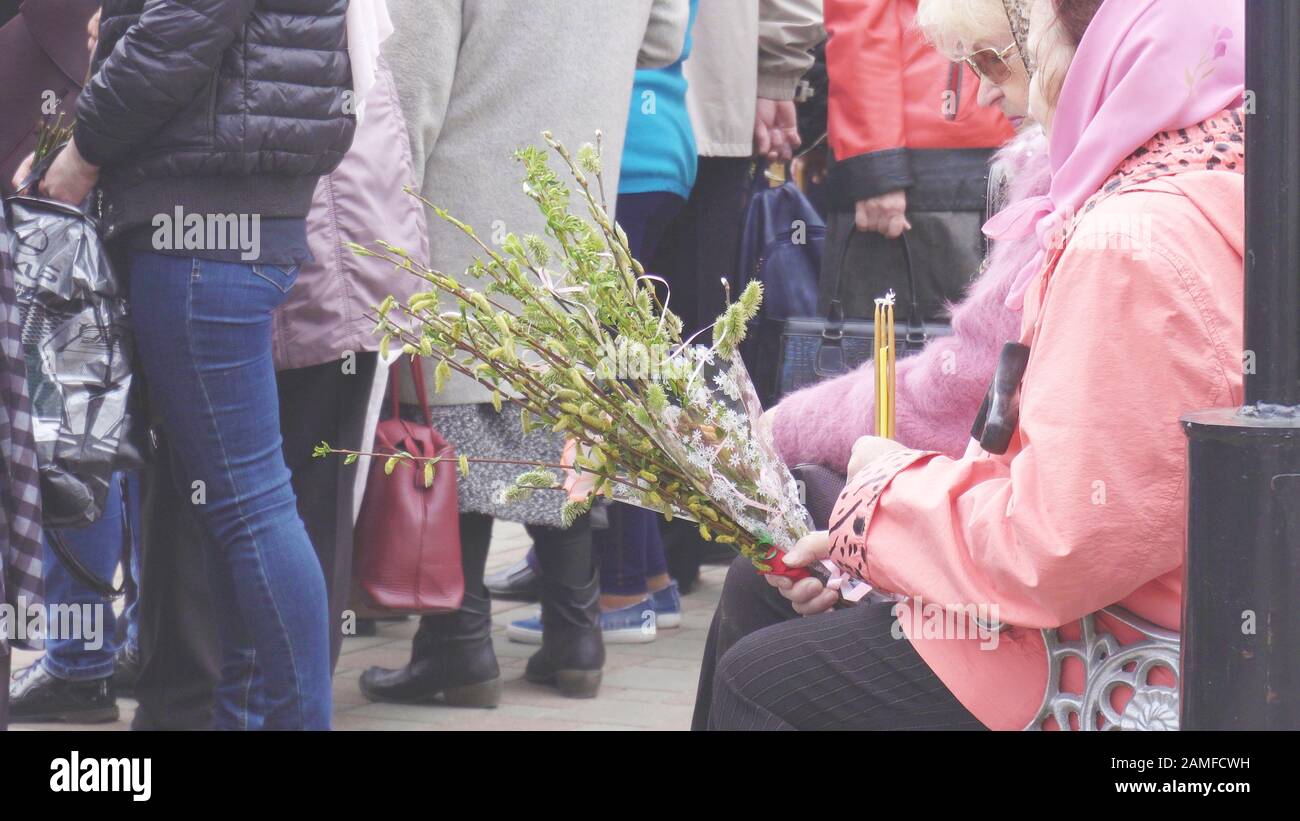 Woman Holding Pussy Willow Twigs For Christian Church Holiday Palm Sunday Copy Space