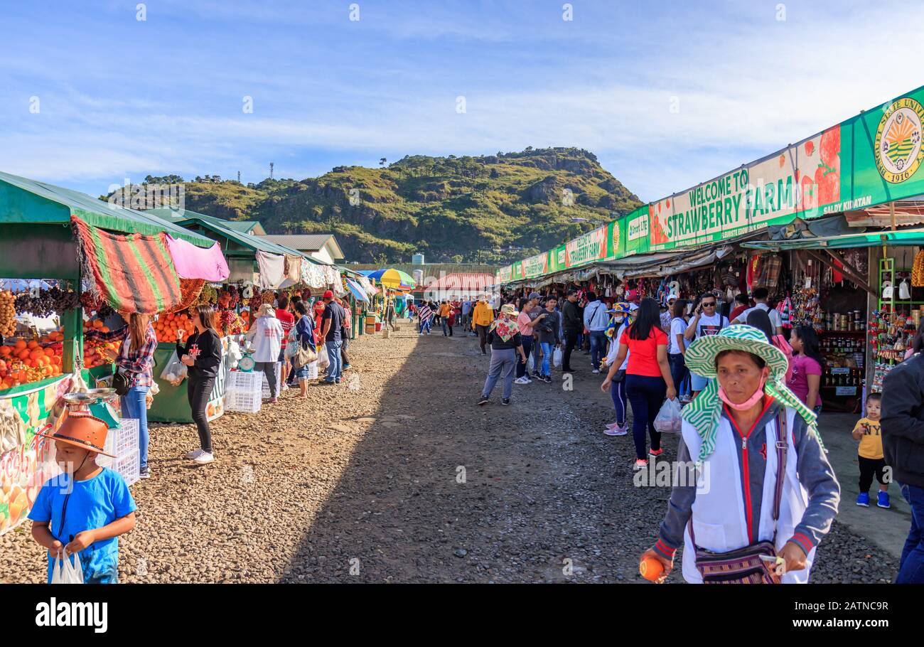 Baguio City Philippines December People At Strawberry Farm