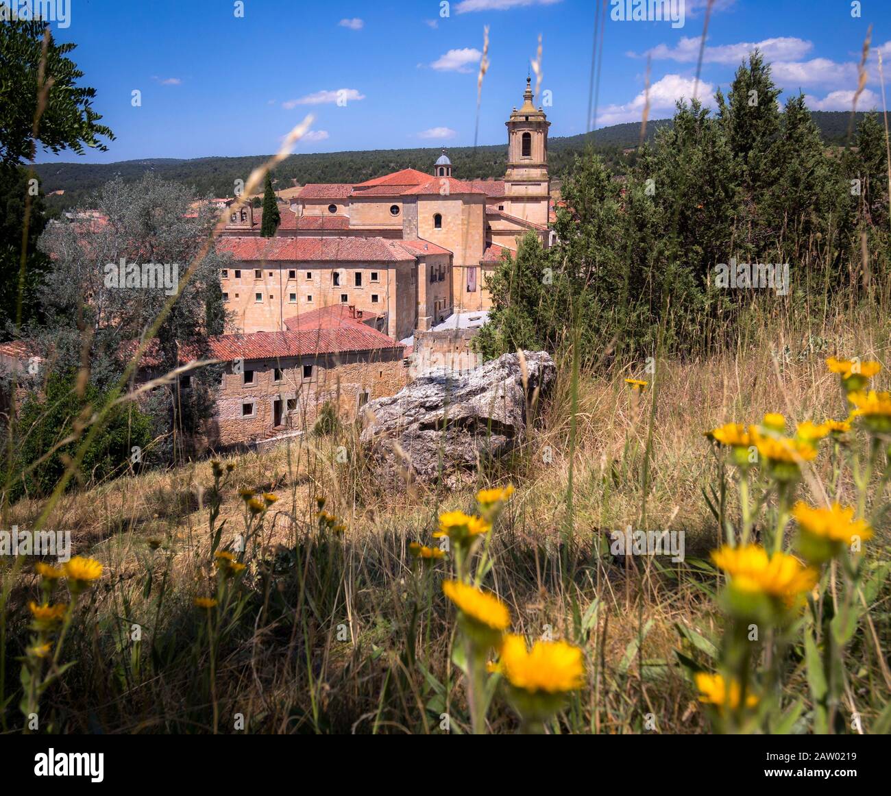 Monasterio de Santo Domingo de Silos Burgos Castilla León España