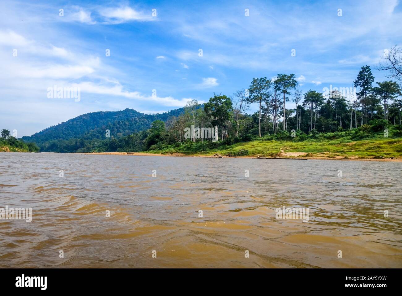 River And Jungle In Taman Negara National Park Malaysia Stock Photo