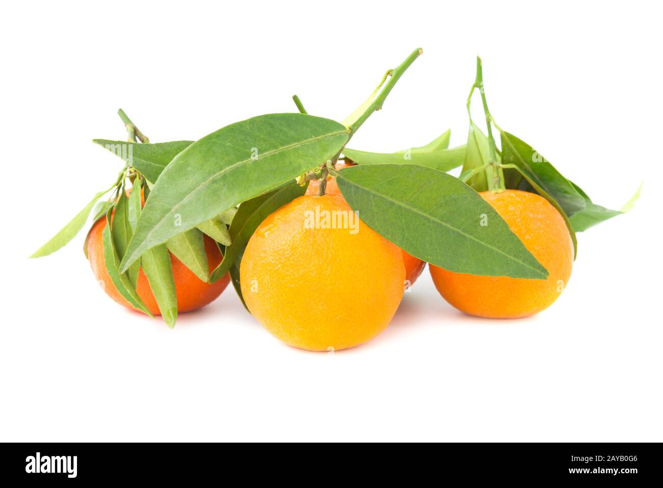 Group Of Orange Mandarins With Green Leaves Stock Photo Alamy