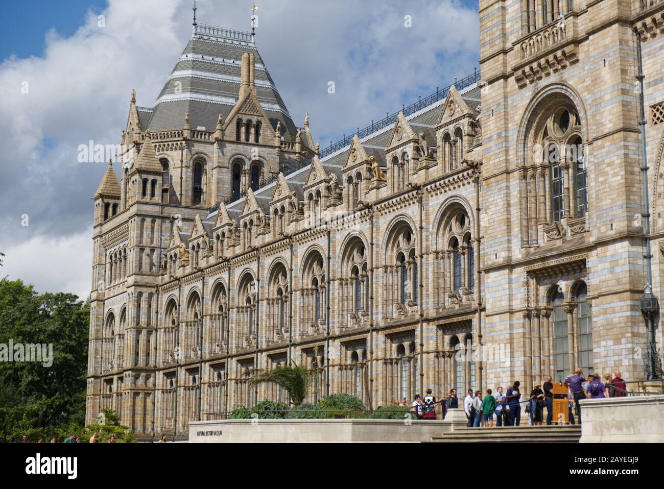 Natural History Museum London Great Britain Stock Photo Alamy