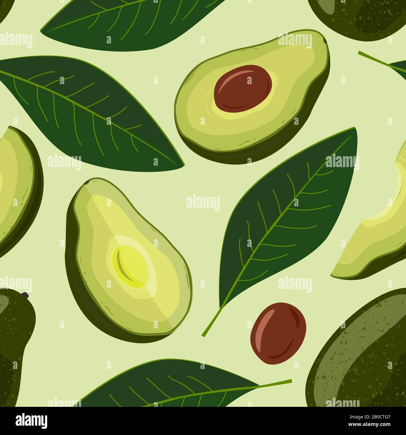 Avocado Seamless Pattern Vector Illustration Of Fruit Avocado Stock