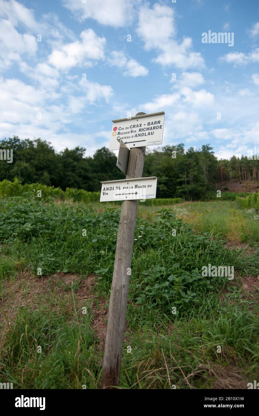 Hiking In Alsace With Vinewyard Views In France Vacation Stock Photo