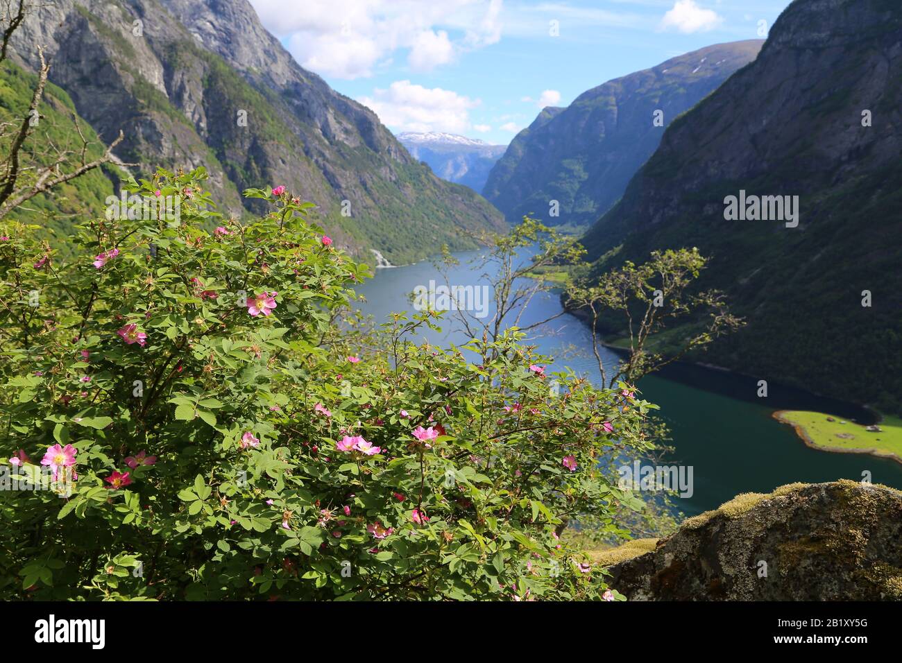 Naeroyfjord Idyllic Fjord Landscape Reflection Ship Ferry Norway