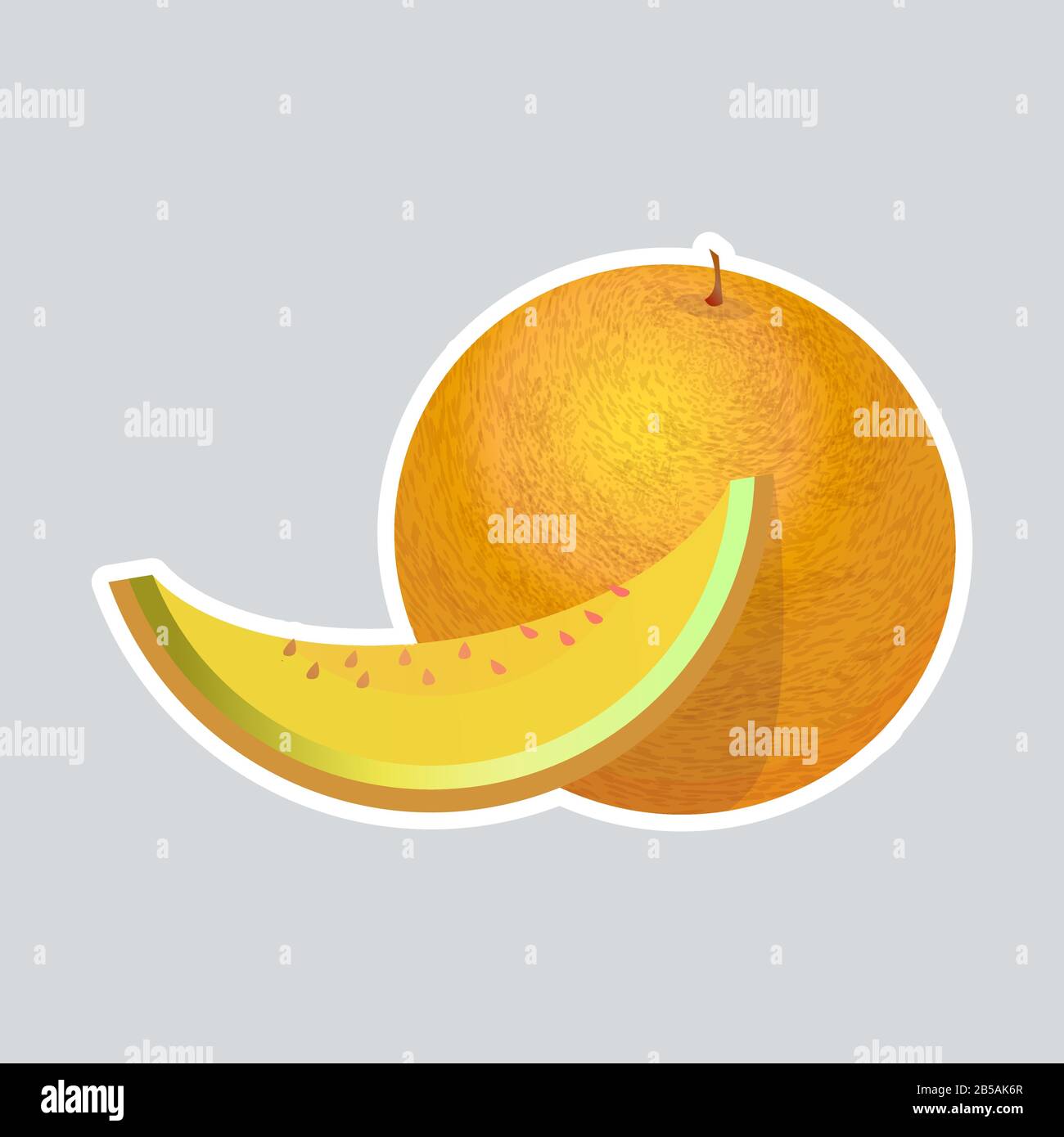 Fresh Juicy Melon Icon Tasty Ripe Fruit Sticker Healthy Food Concept