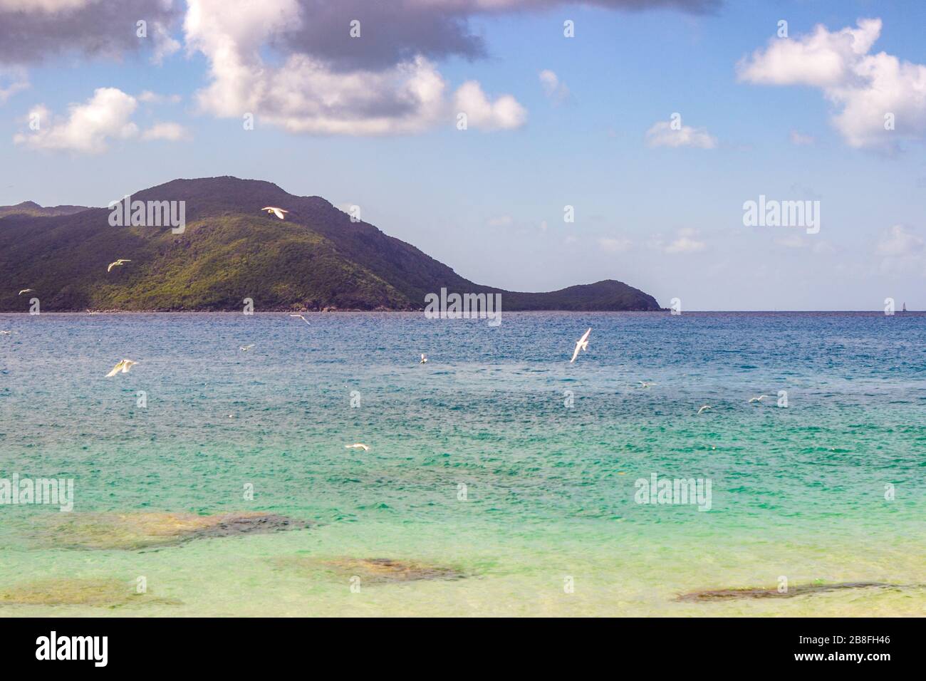 Nudey Beach Queensland Hi Res Stock Photography And Images Alamy