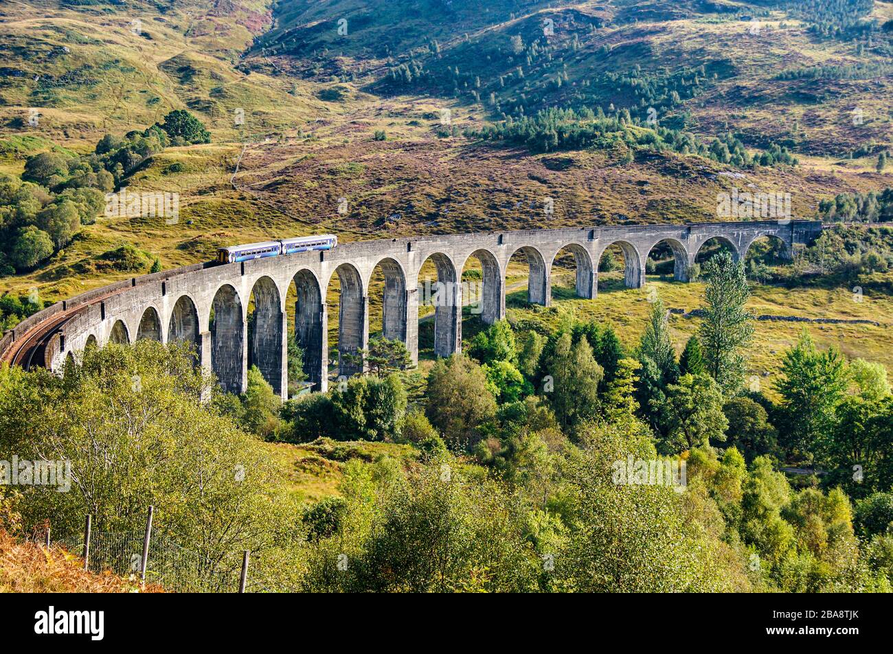 Scotrail Class 156 DMU Passing Over Glenfinnan Viaduct At Glenfinnan