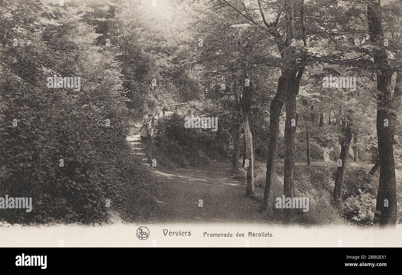 Postcard From Around Showing The Promenade Des R Collets Walkway