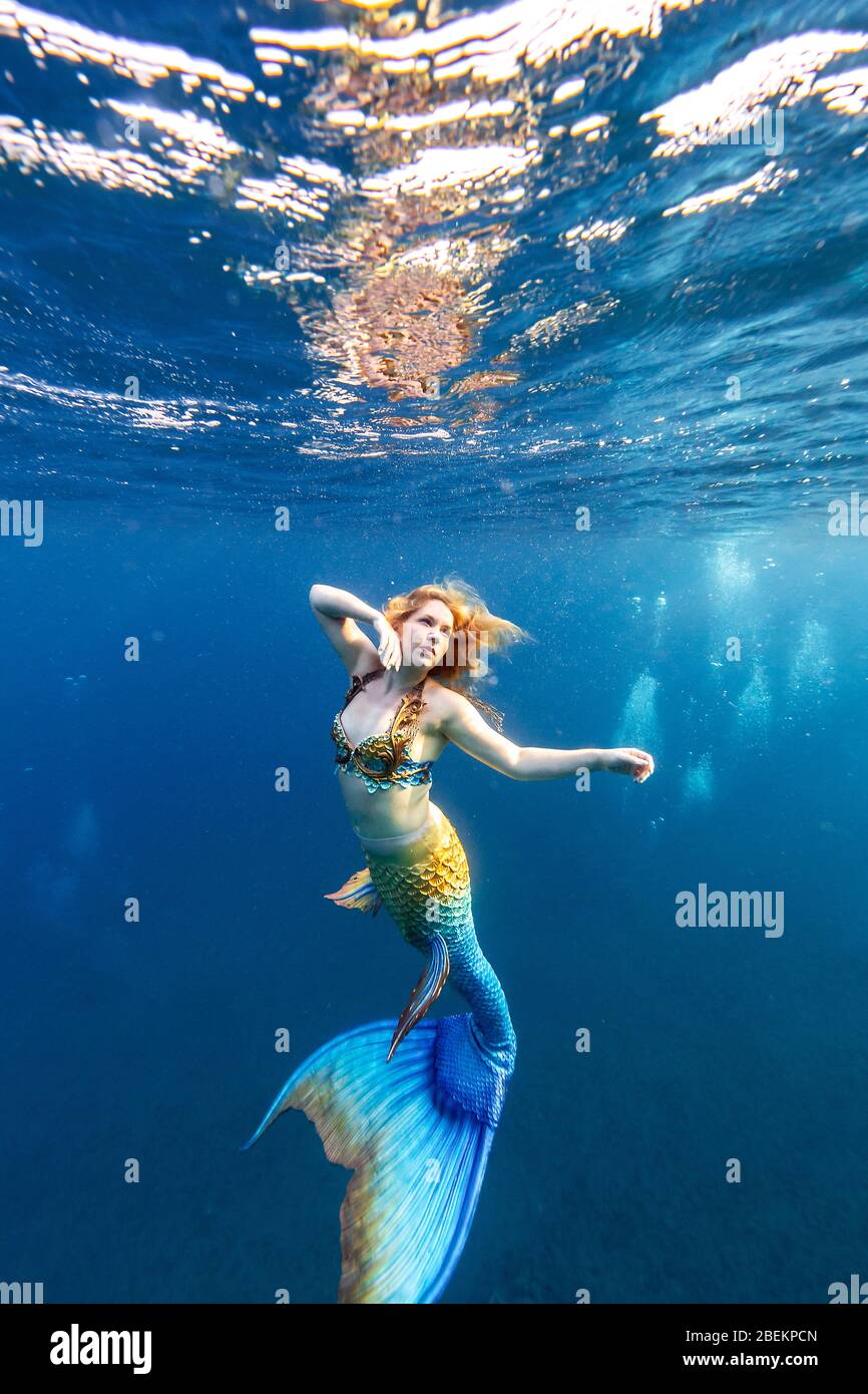 Mermaid Swimming Underwater In The Ocean Stock Photo Alamy