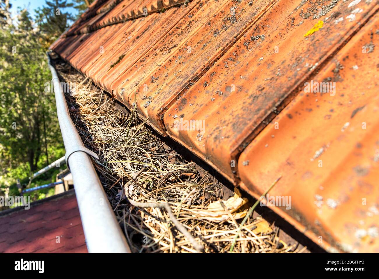 Gutters Full Of Debris Needing To Be Cleaned Roof Gutter Clogged With