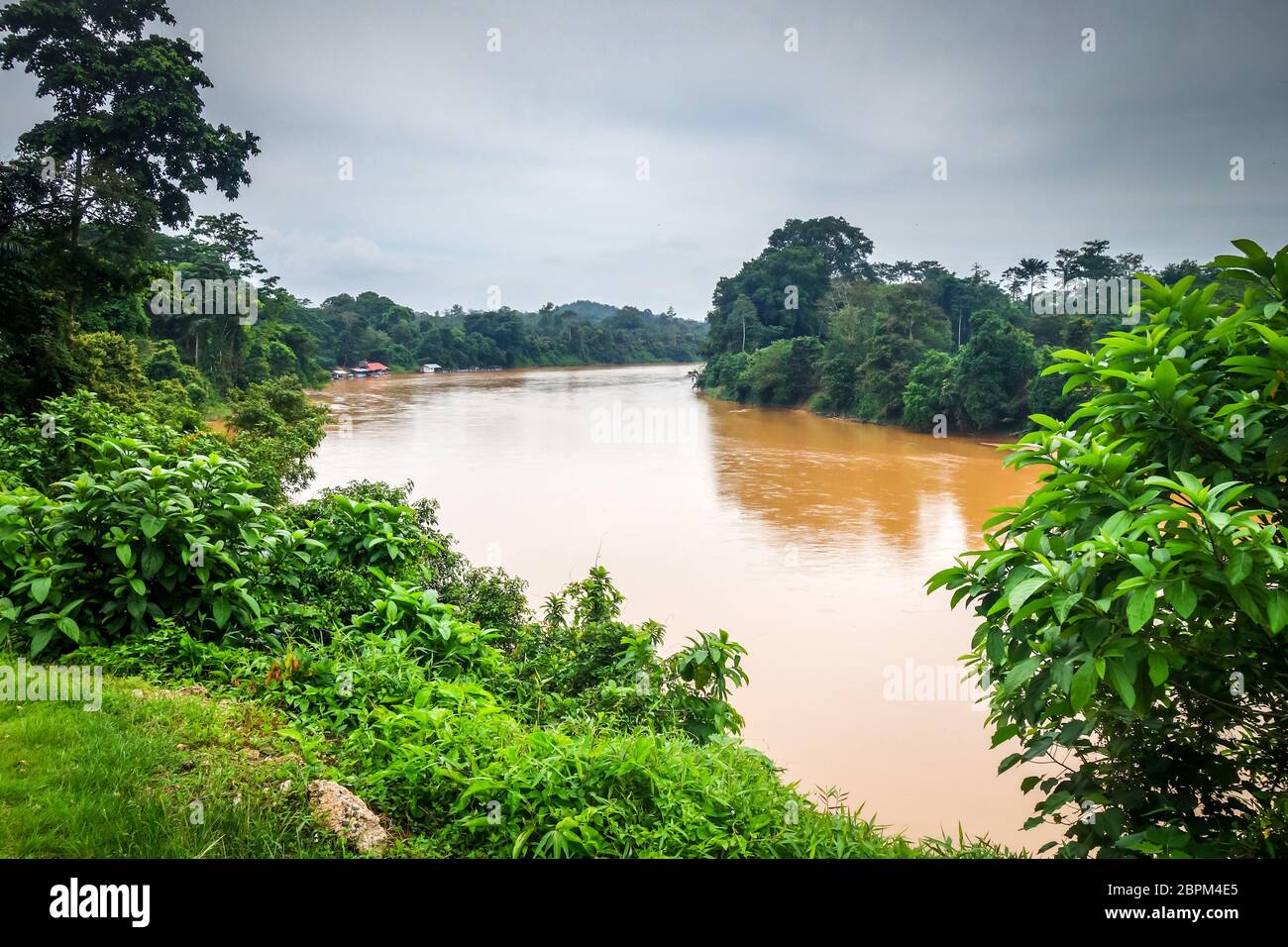 River And Jungle Landscape In Taman Negara National Park Malaysia