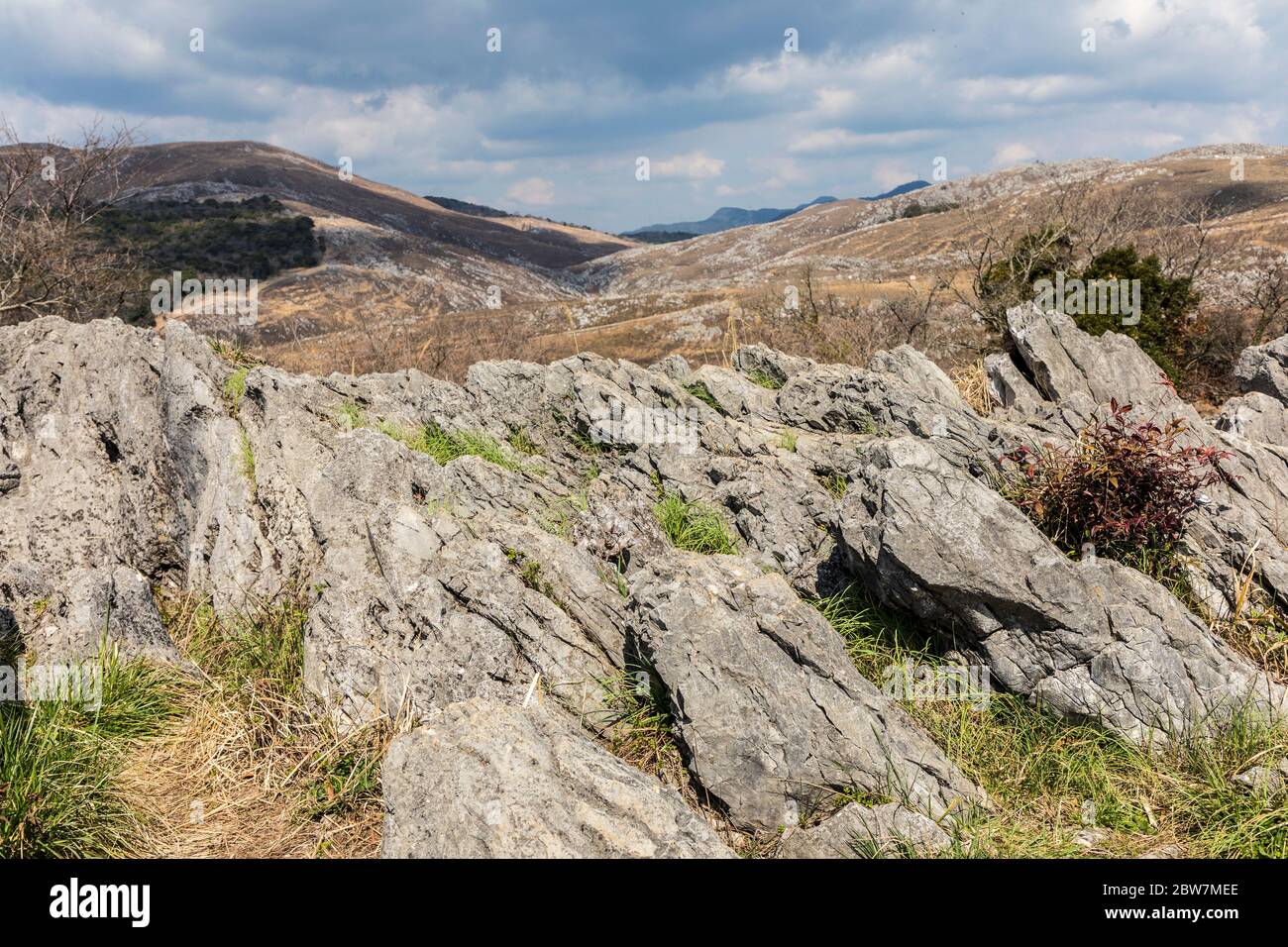 Karst Landscape Akiyoshidai Plateau Yamaguchi Japan Stock Photo Alamy