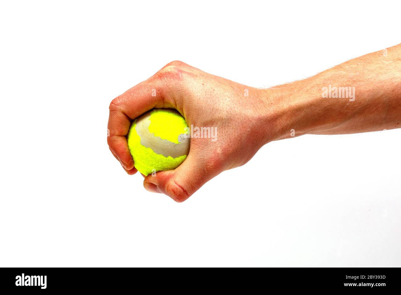 Male Hand Holding Tennis Ball Isolated On White Background