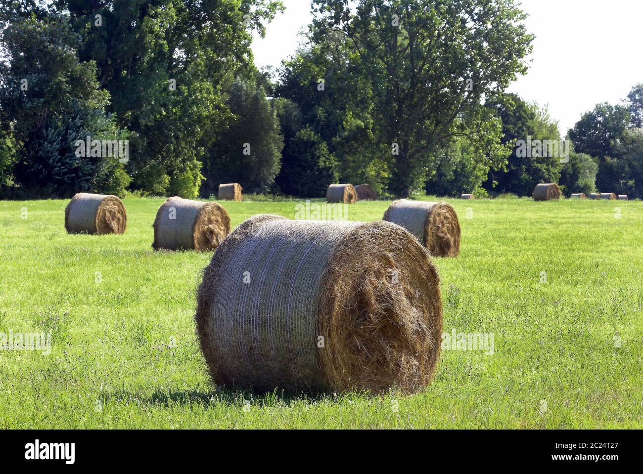 Round Bales Hay Hi Res Stock Photography And Images Alamy