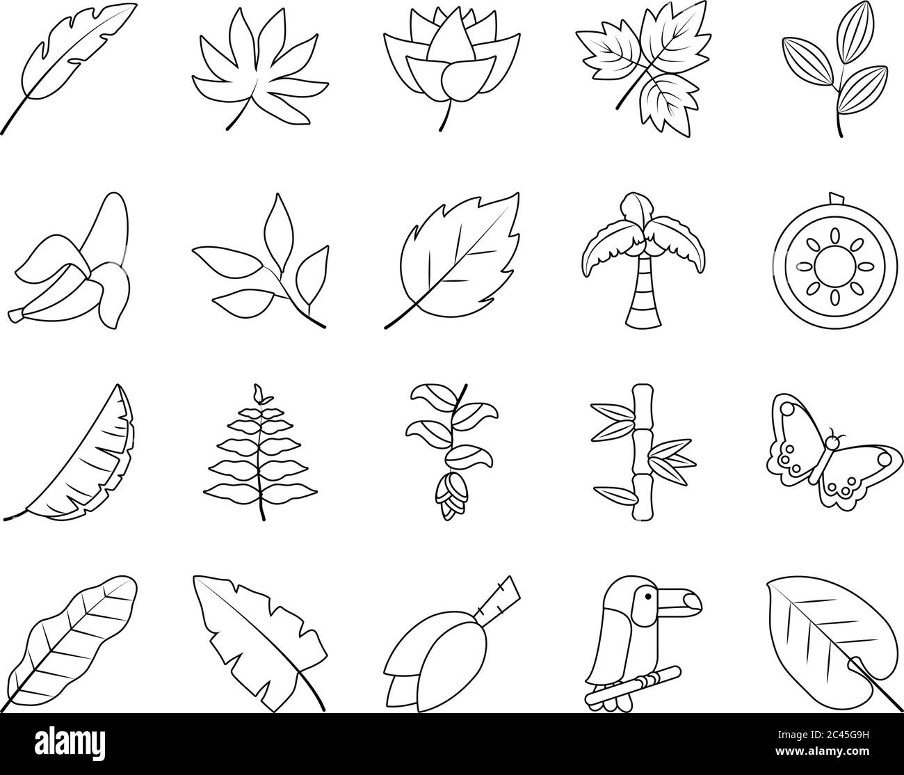 Tropical Leaves And Fruits Icon Set Over White Background Line Style