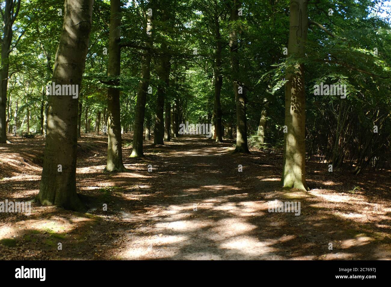 Typical Dutch Landscapes On A Long Distance Walk Called The Pieterpad