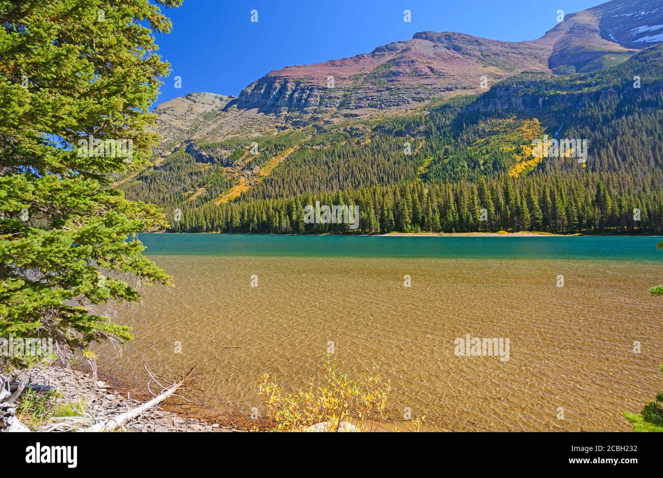 Dramatic Colors On An Lake Josephine In Early Fall In Glacier National