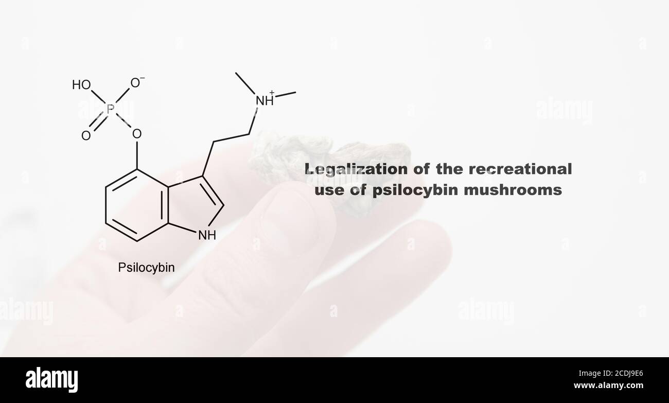 Legalization Of The Recreational Use Of Psilocybin Mushrooms