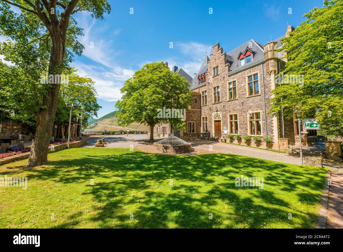 Klopp Castle Near Bingen Am Rhein Surrounded By Vineyards Hilltop