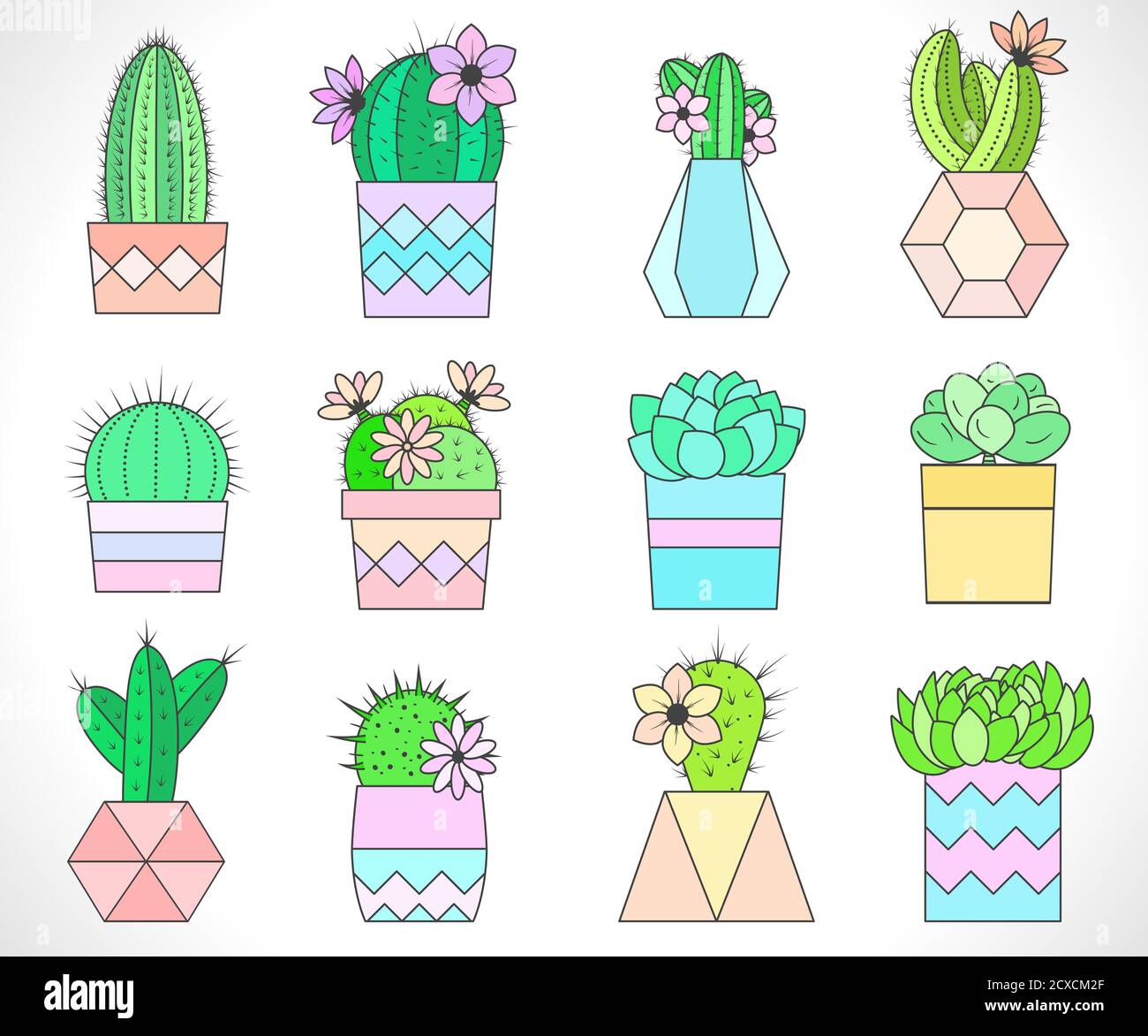 Vector Set Of Cacti And Succulents In Flower Pots Flat Style Colored