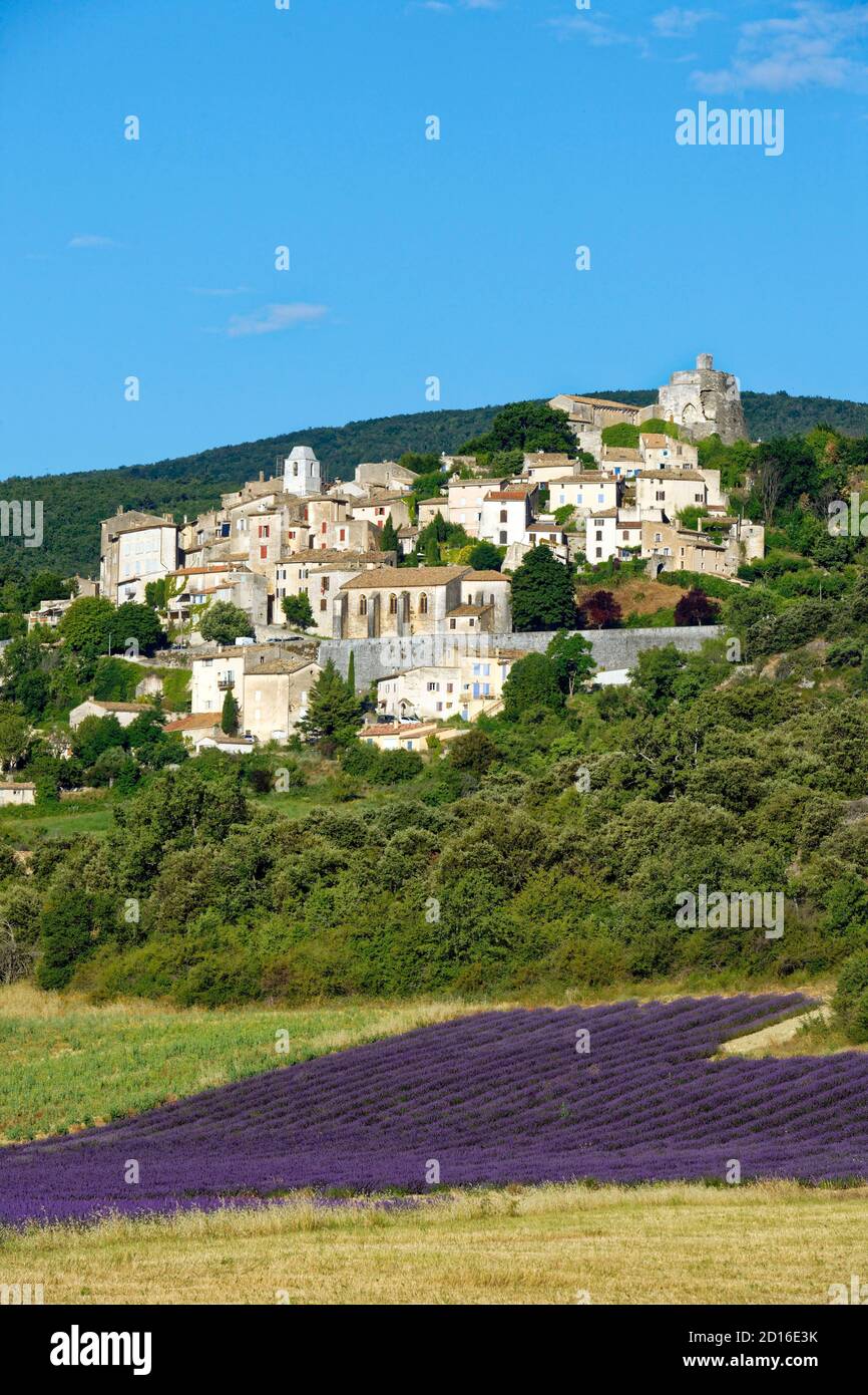 France Alpes De Haute Provence Simiane La Rotonde Lavender Field At