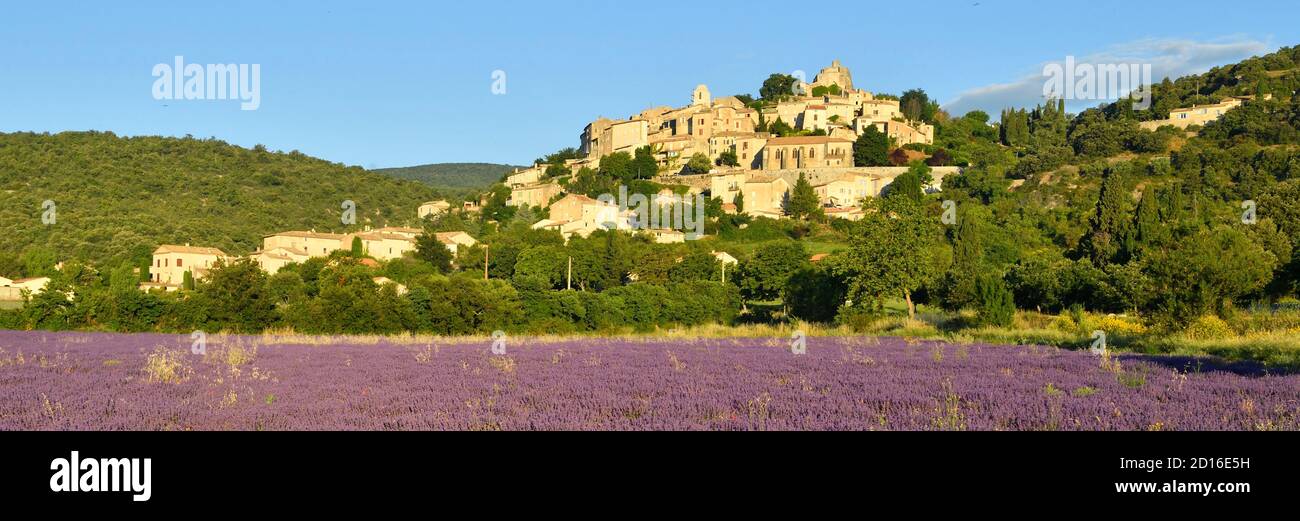 France Alpes De Haute Provence Simiane La Rotonde Lavender Field At The Foot Of The Village