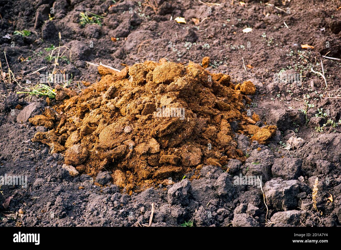 Pile Of Manure Hi Res Stock Photography And Images Alamy