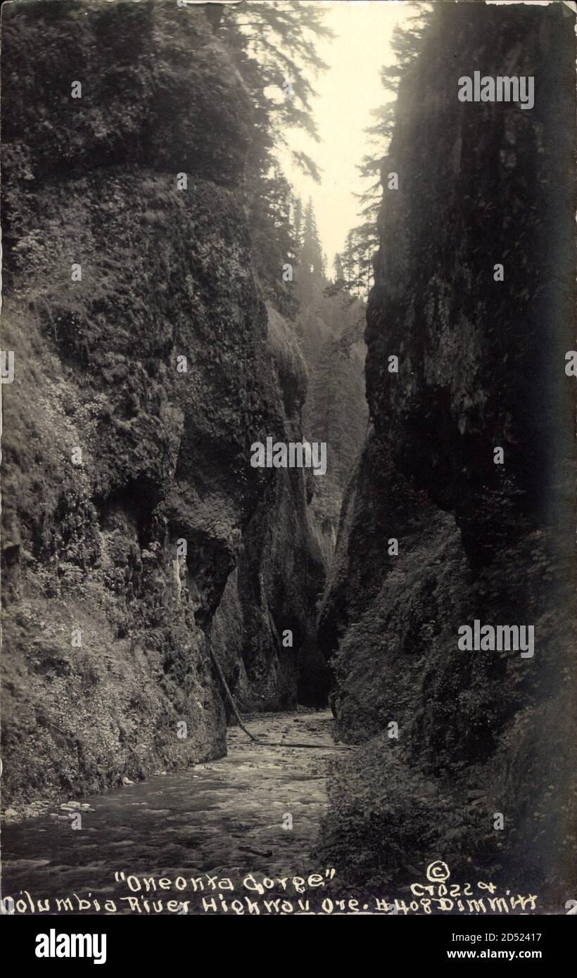 Columbia River Highway Oregon USA General View Of The Oneonta Gorge