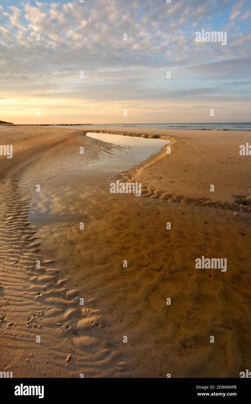 Autumn Coast Of The Baltic Sea Interesting Sand Structure On The Beach