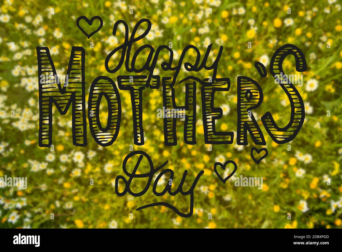 English Calligraphy Happy Mothers Day Beautiful Scenery Of Daisy And