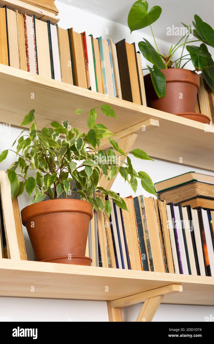 Light Wooden Bookshelves With Hardback Overturned Books In White