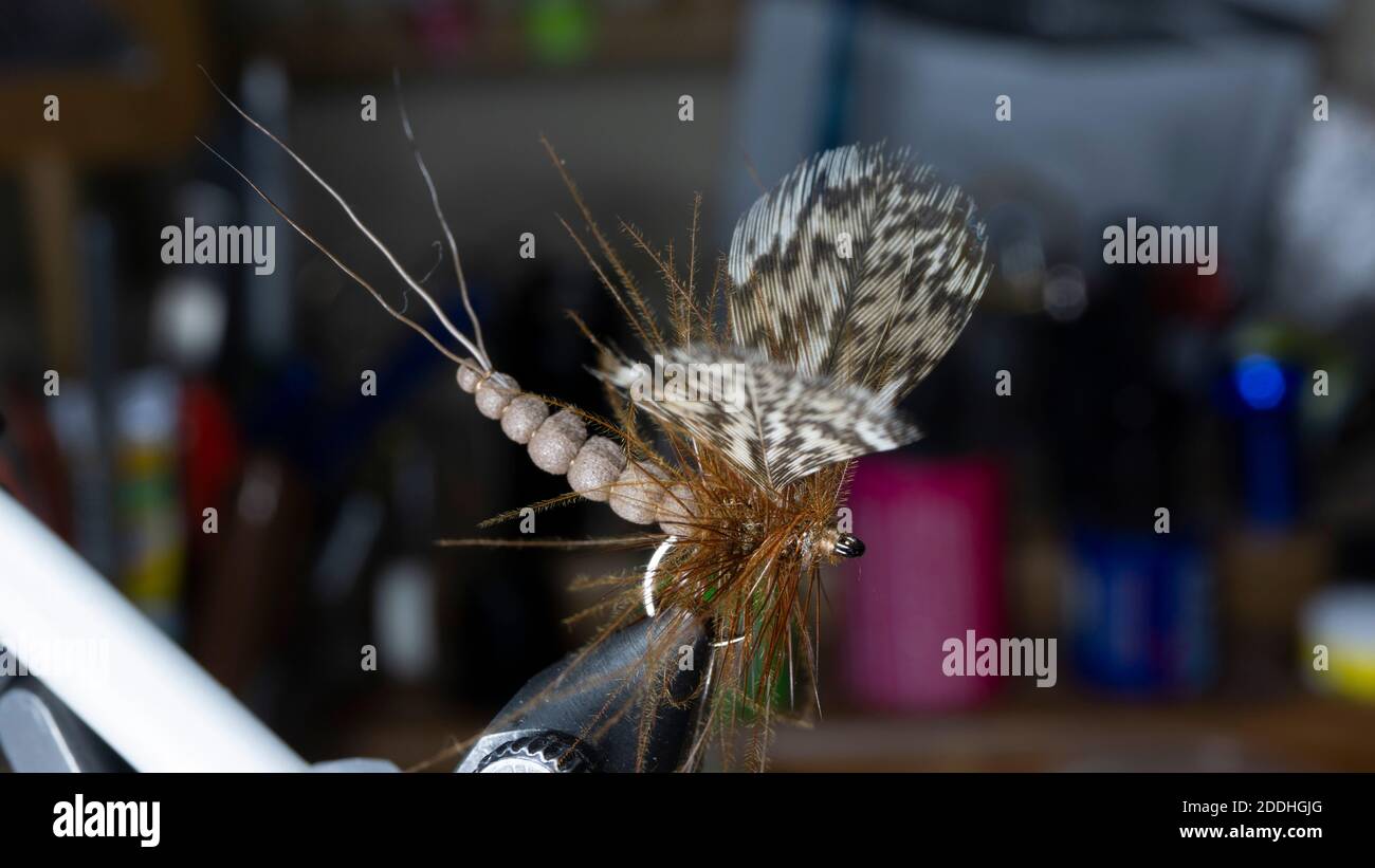 Hand Tied Flies Hi Res Stock Photography And Images Alamy