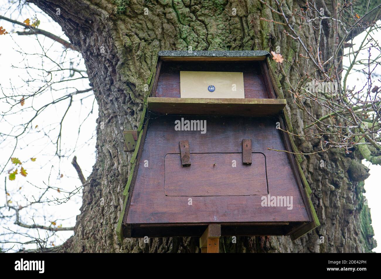 Breeding Pairs Will Nest In Boxes Hi Res Stock Photography And Images