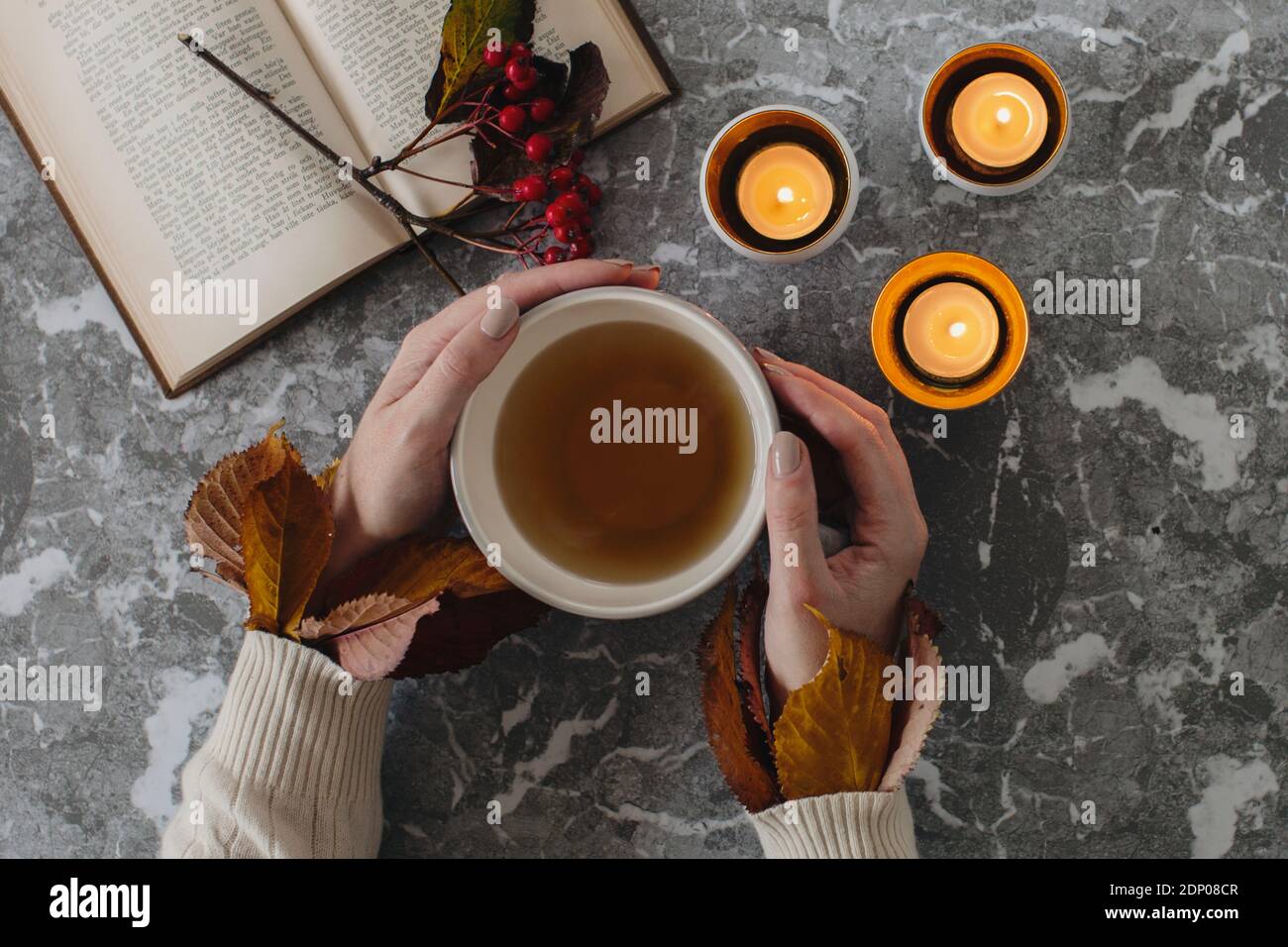 Hands Holding Cup With Tea Stock Photo Alamy