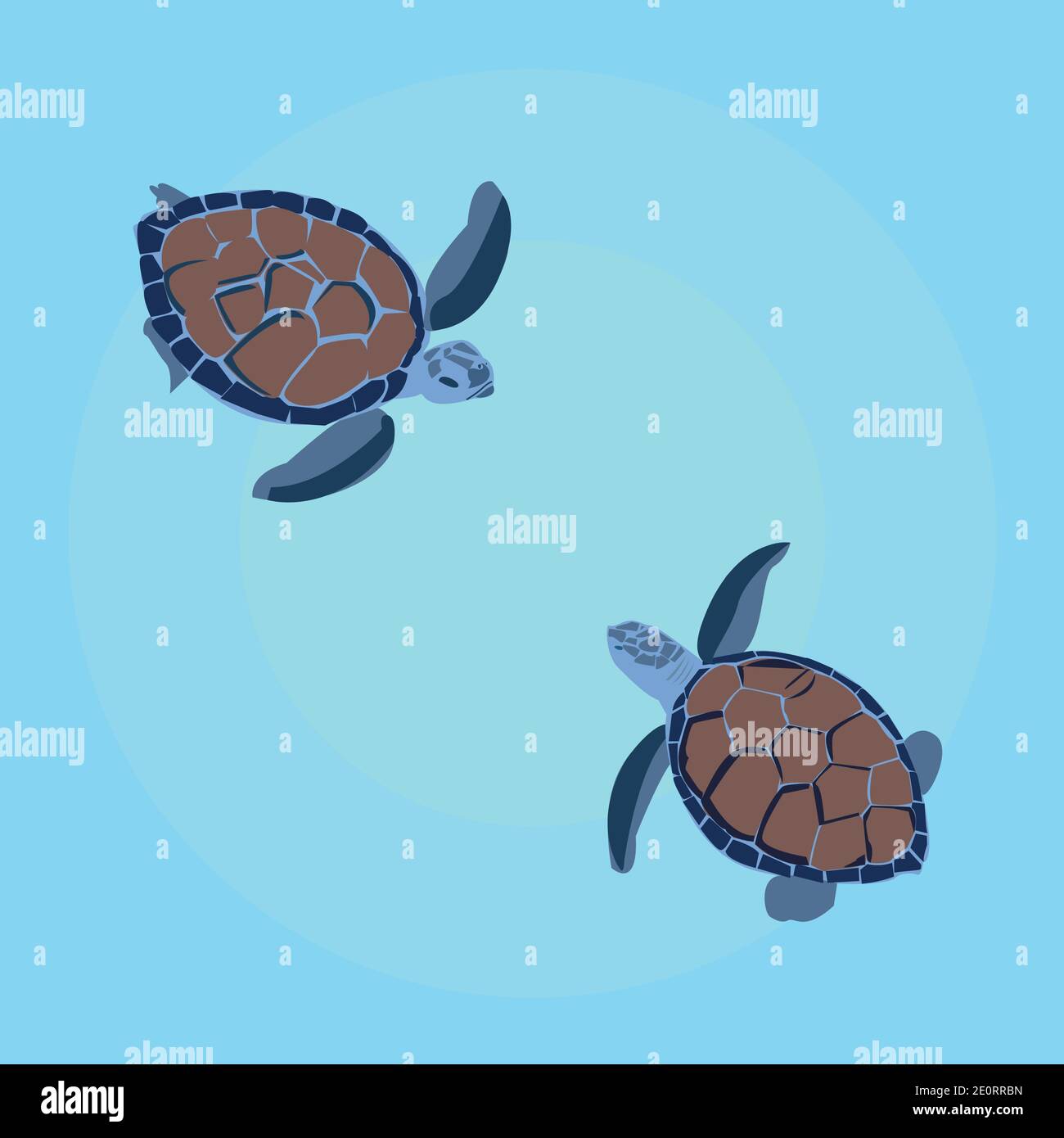 Chelonia Mydas Sea Turtles Stock Vector Images Alamy