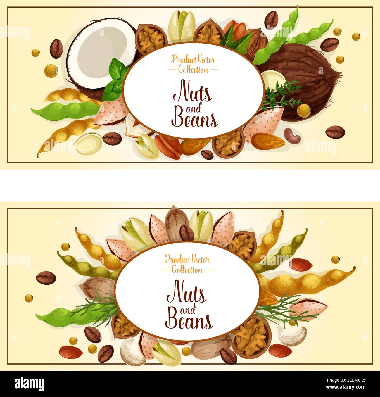 Nuts Banners Set Vector Fruit Kernels And Food Plant Seeds Of Coconut