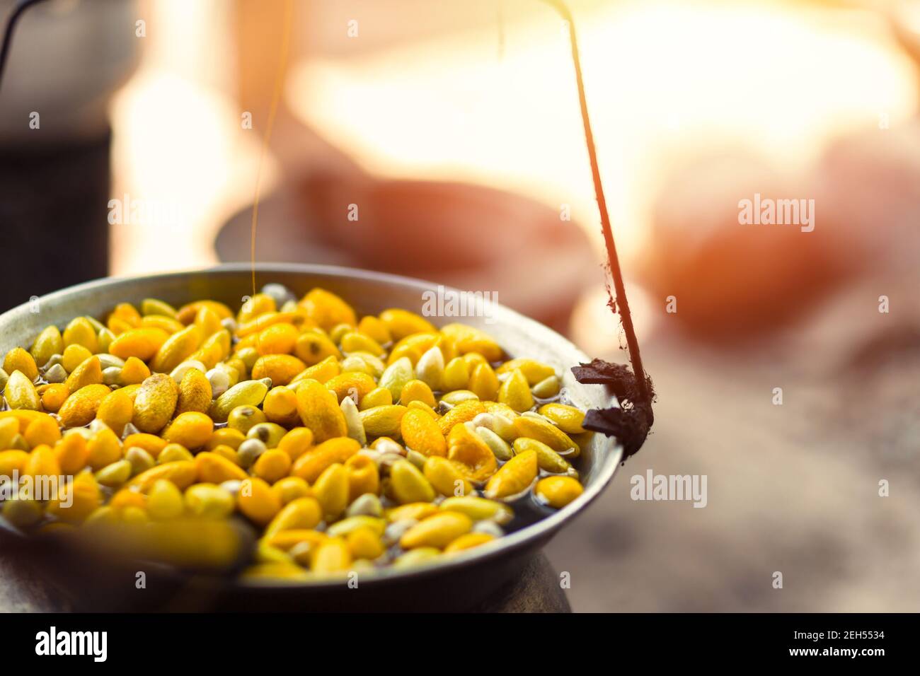 Boiling Yellow Silkworm Cocoons By Boiler To Make Silk Thread Stock