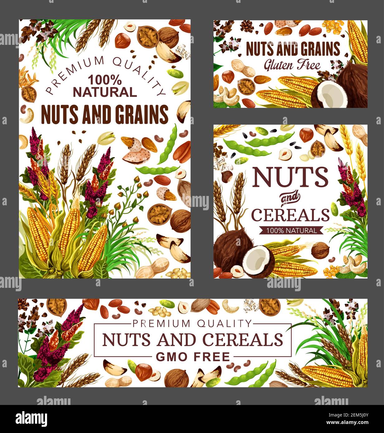 Nuts Cereal Grains And Beans Vector Health Food Almond Peanut And