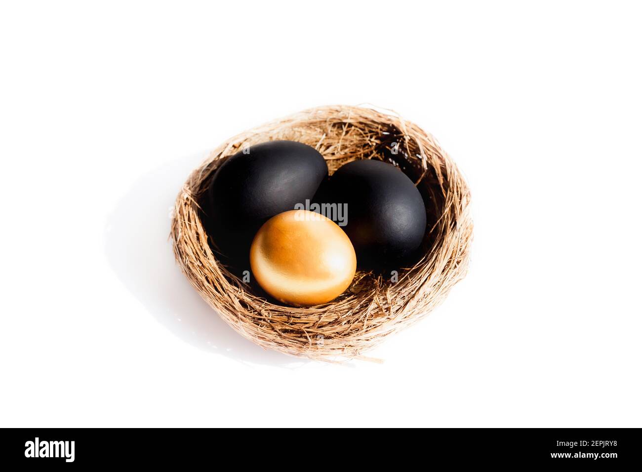 Birds Nest With Two Black Eggs And One Gold On White Background